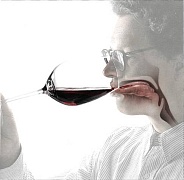 Физиология восприятия вкуса и вино